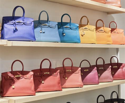 How heirs to Hermès fortune invested in Florida .